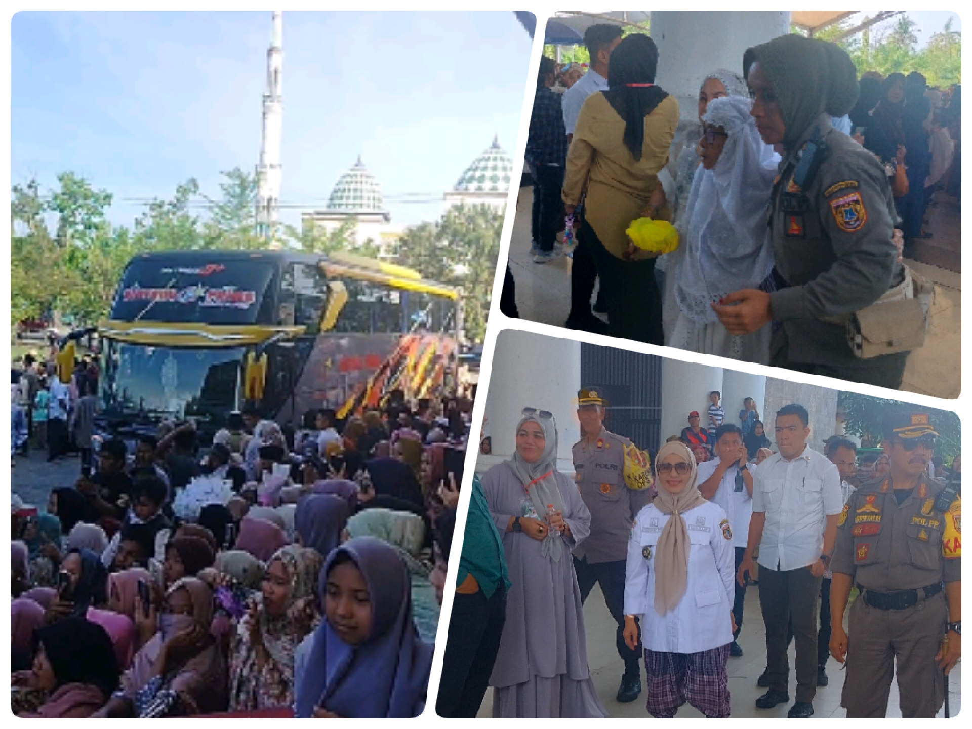 212 Jemaah Haji Asal Polewali Mandar Tiba di Tanah Air, Disambut Haru dan Bahagia