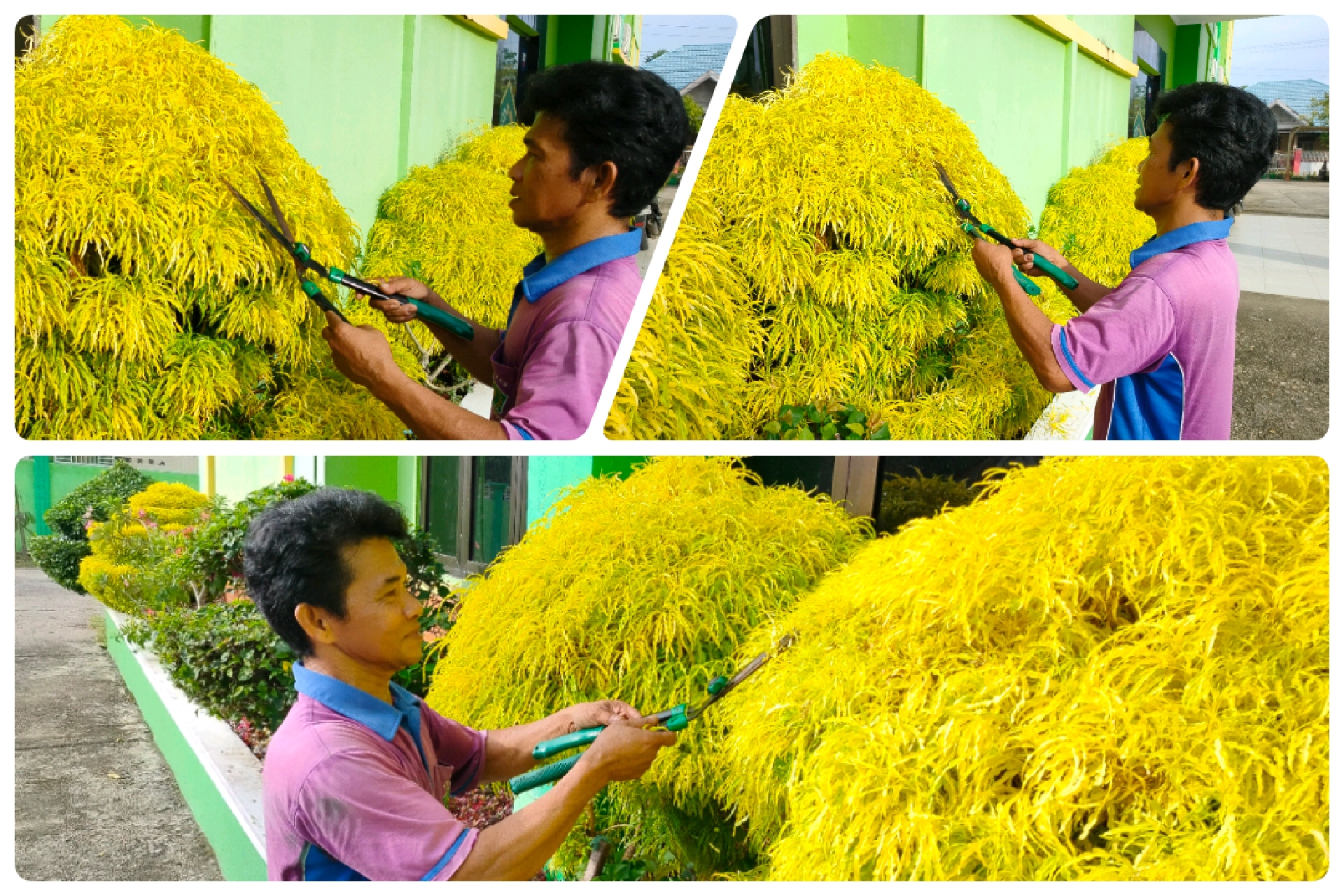 Perubahan Dimulai dari Hal Kecil